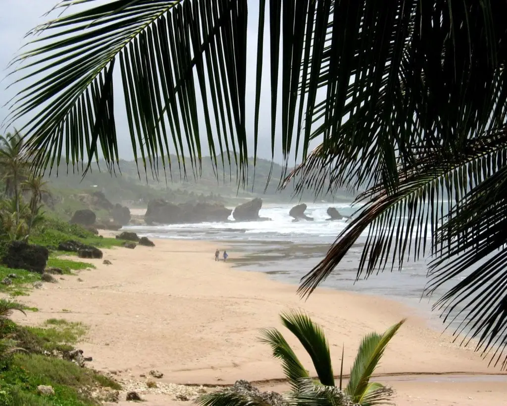 Barbados Empty Beach