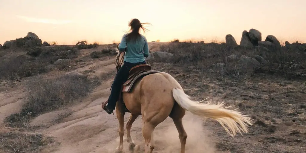 Horse Ride Experience Tatacoa Desert