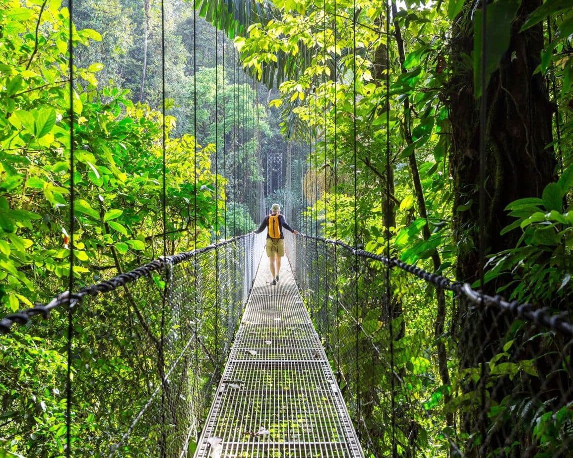 Hiking in Costa Rica Jungle Tropical Forest