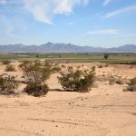 Best things do to do in Blythe CA