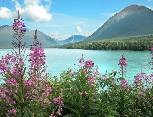 9 Things To Do In Glacier View, Alaska