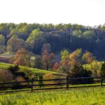 Things to Do in Galax, VA