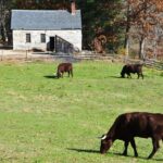 Things to do in Sturbridge, MA