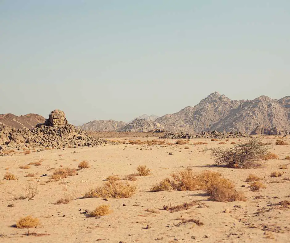 Chalbi Desert