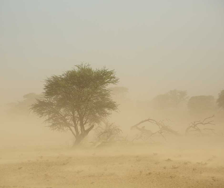 Kalahari Desert storm