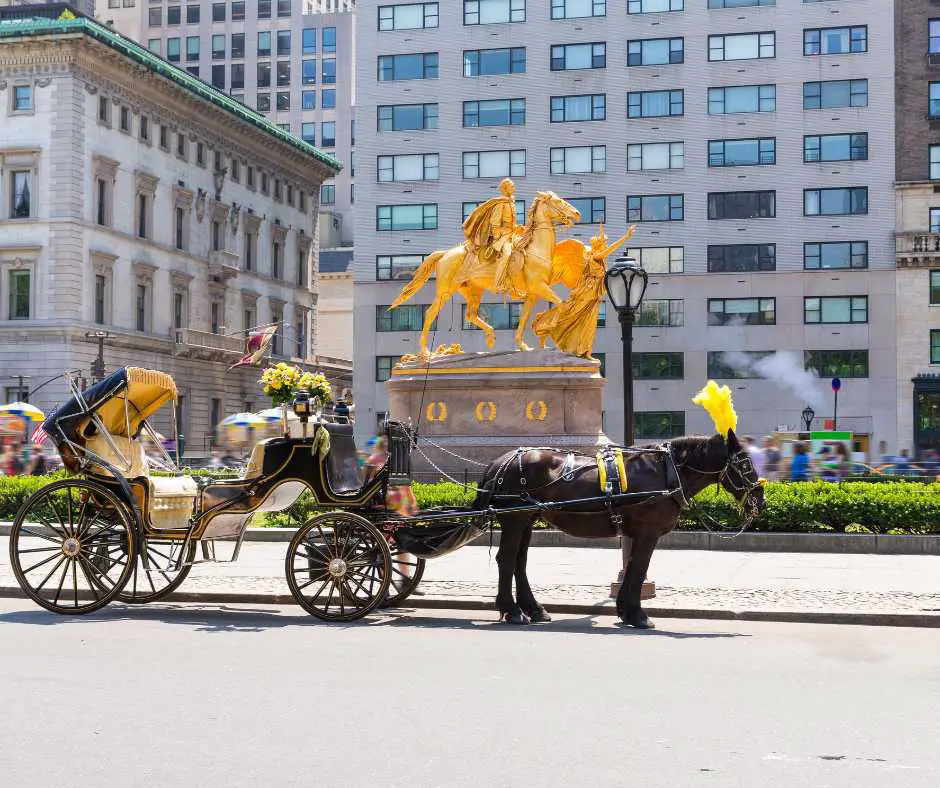 Central Park carriage ride