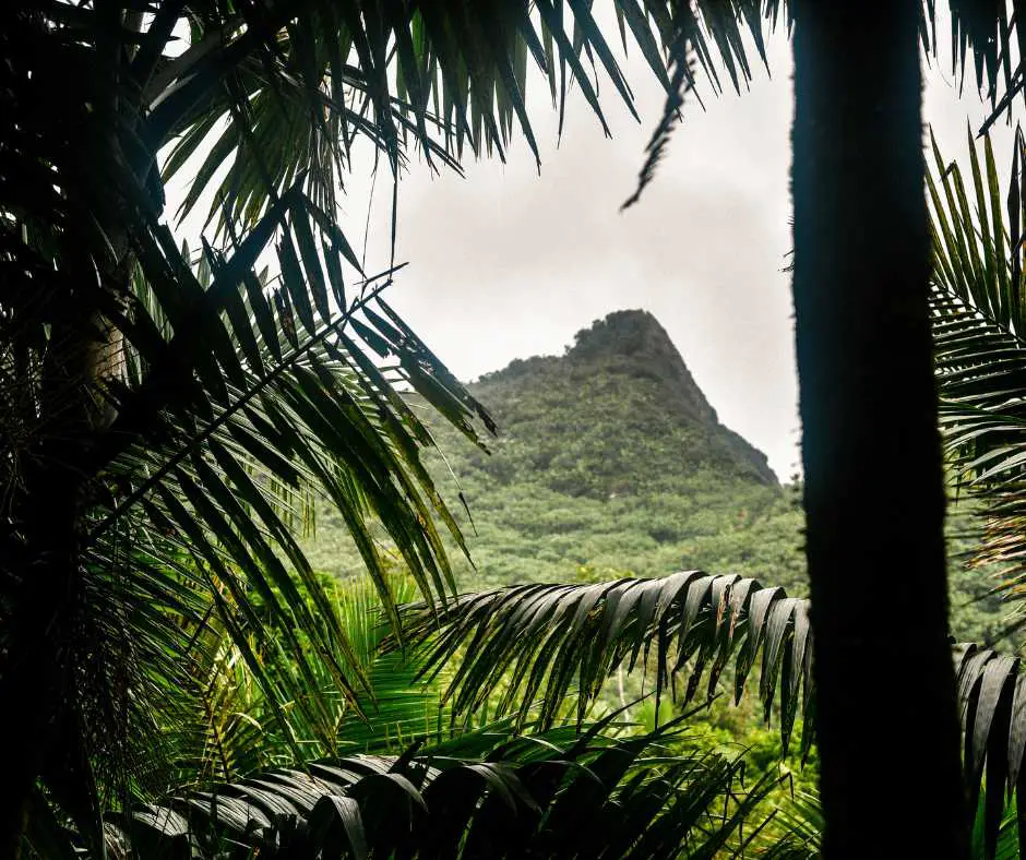 El Yunque National Forest